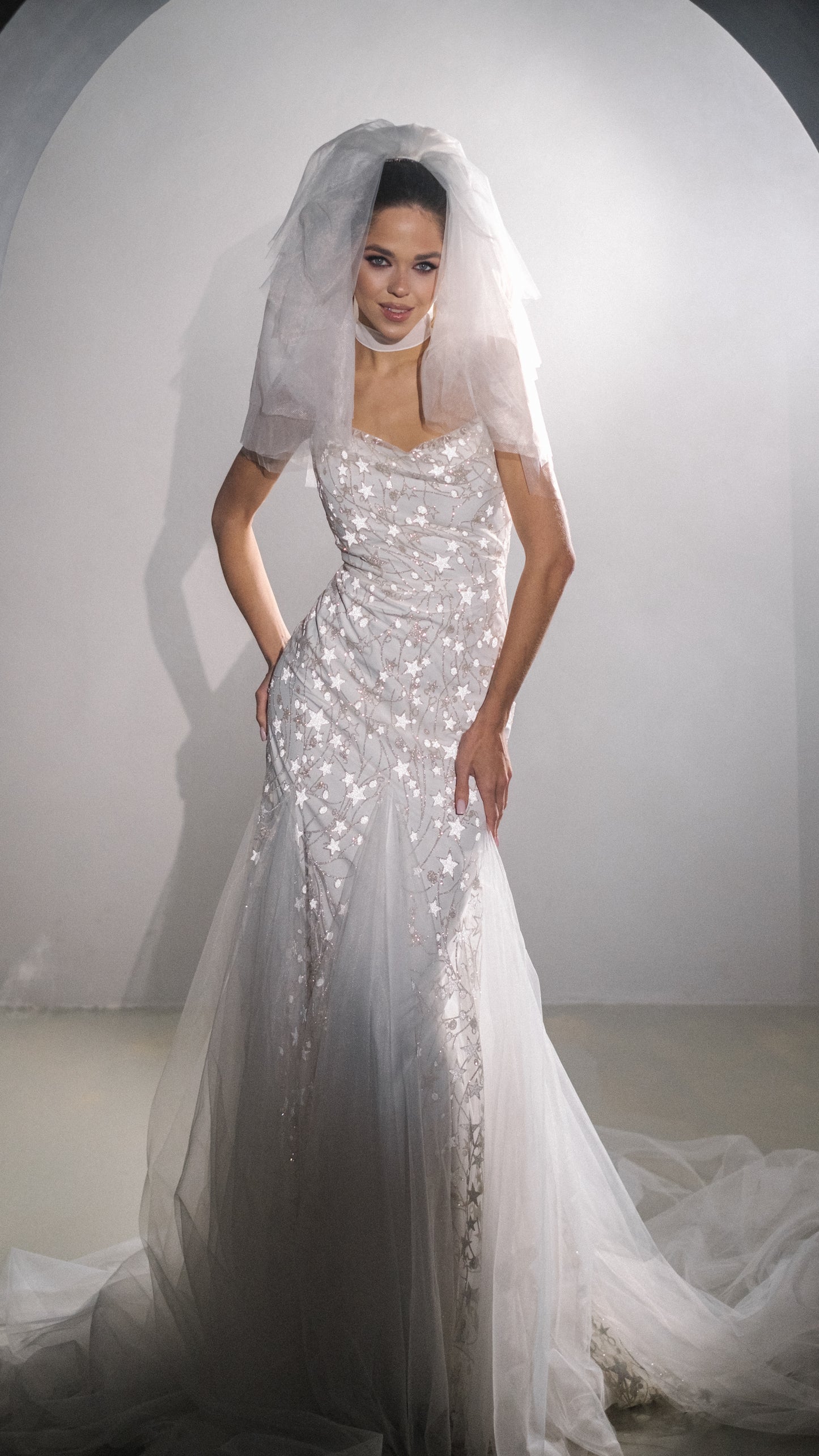 Ethereal Modern Elegant Fit and Flare Wedding Dress with Stars 2024