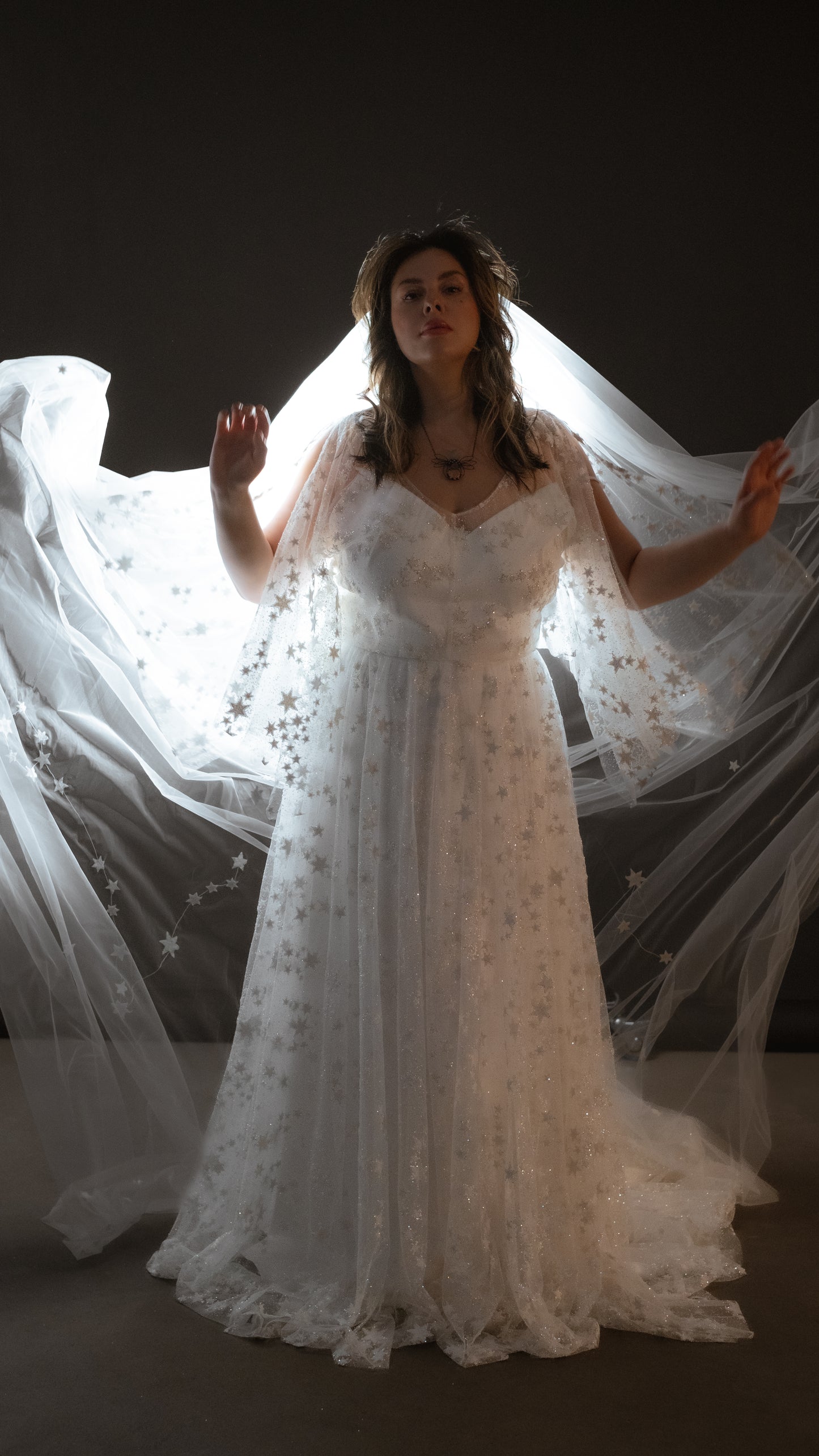 Two-piece ivory wedding dress with glowing star lace overlay plus size bride wearing romantic gown with veil and zodiac stars