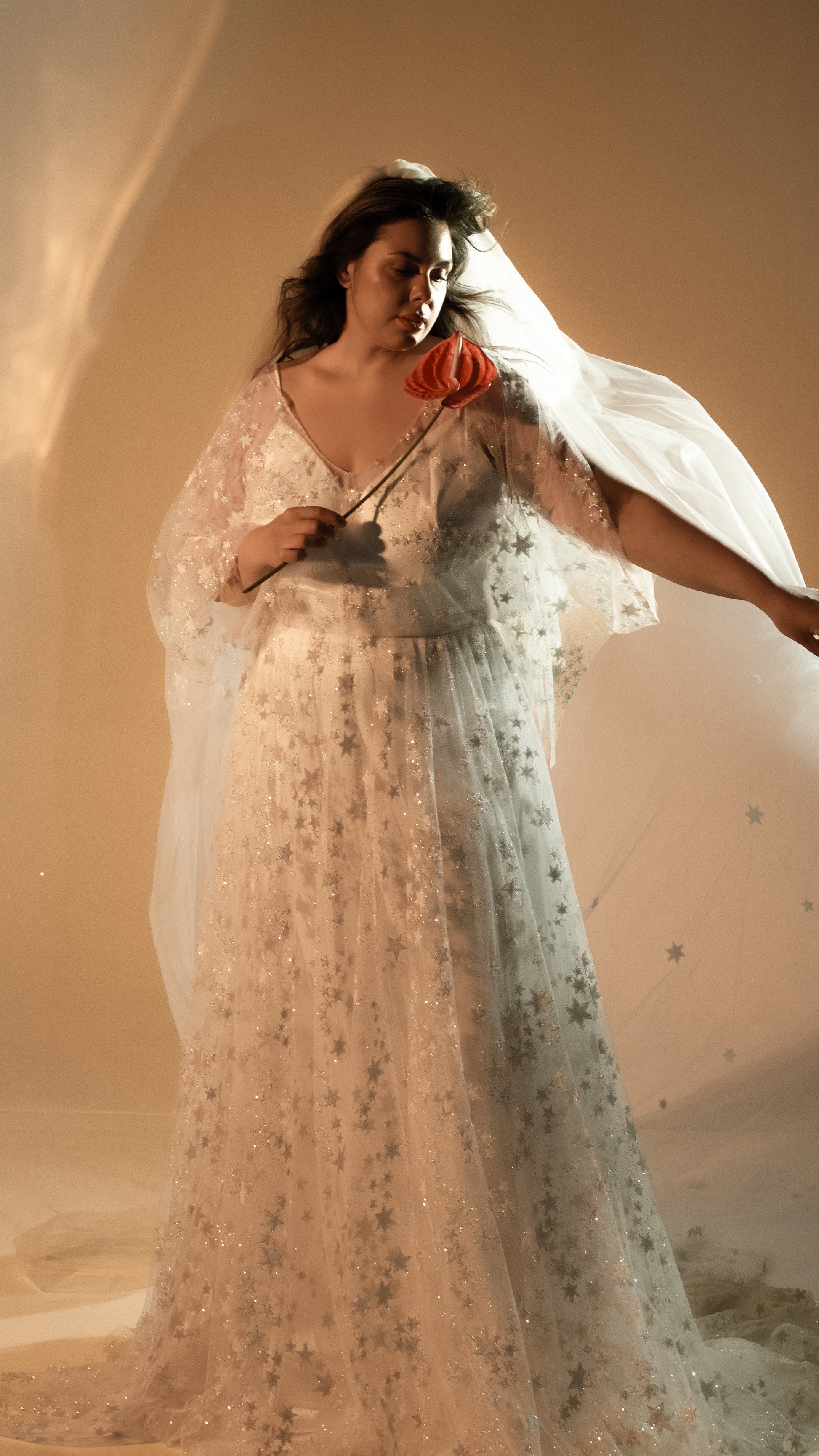 Two-piece ivory wedding dress with glowing star lace overlay plus size bride wearing romantic gown with veil and zodiac stars