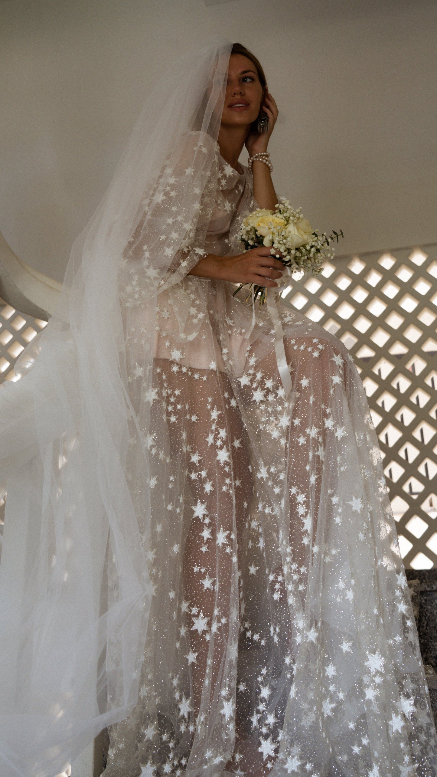 Starry Celestial Wedding Dress and Cathedral Veil with Stars Embroidered