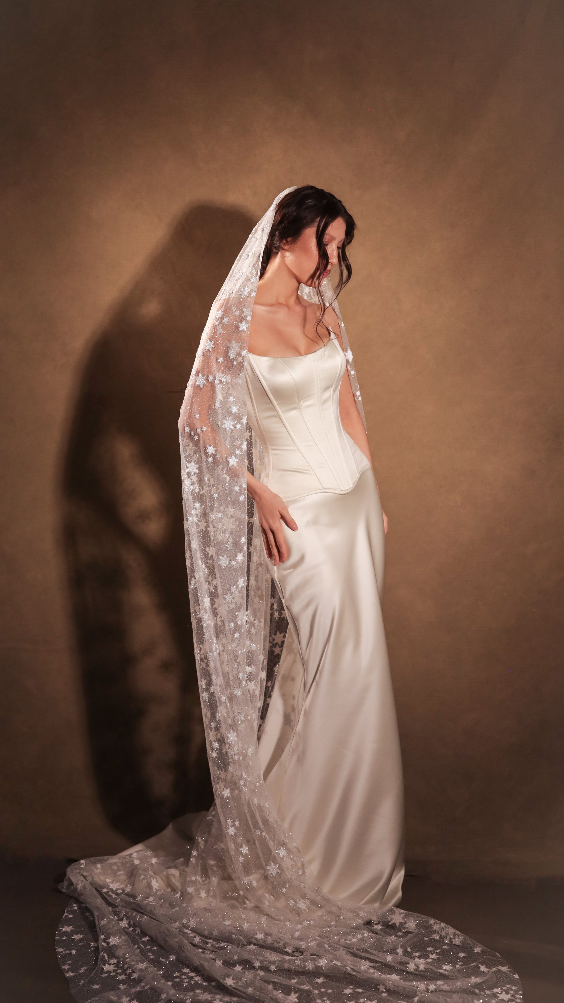 Unique Cathedral Wedding Veil with Glowing Stars 2024 