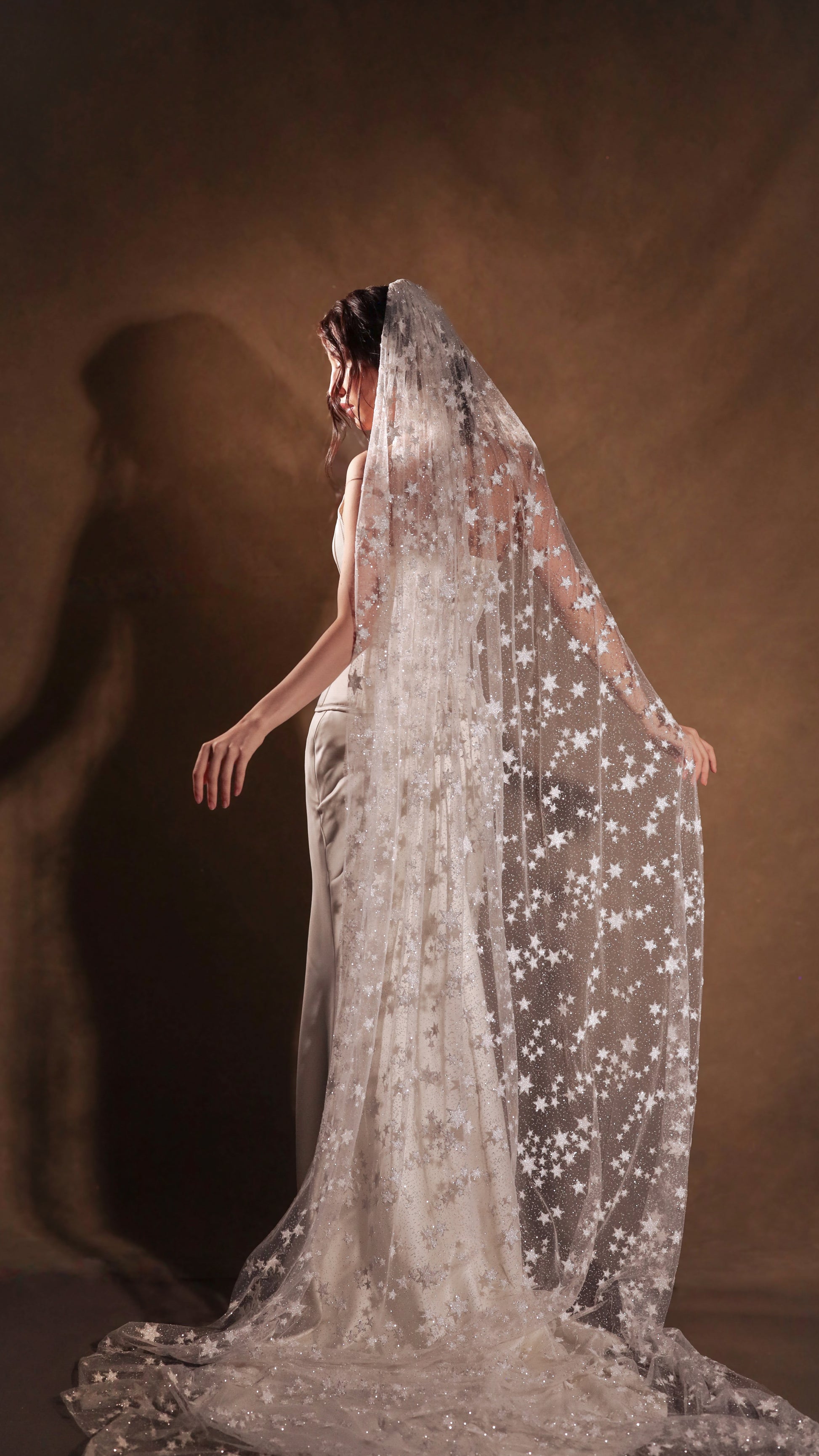 Unique Cathedral Wedding Veil with Glowing Stars 2024 