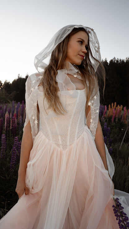 Drop Waist wedding dress with blush tulle skirt and Basque waist corset 2026 2027 romantic colored wedding dress 