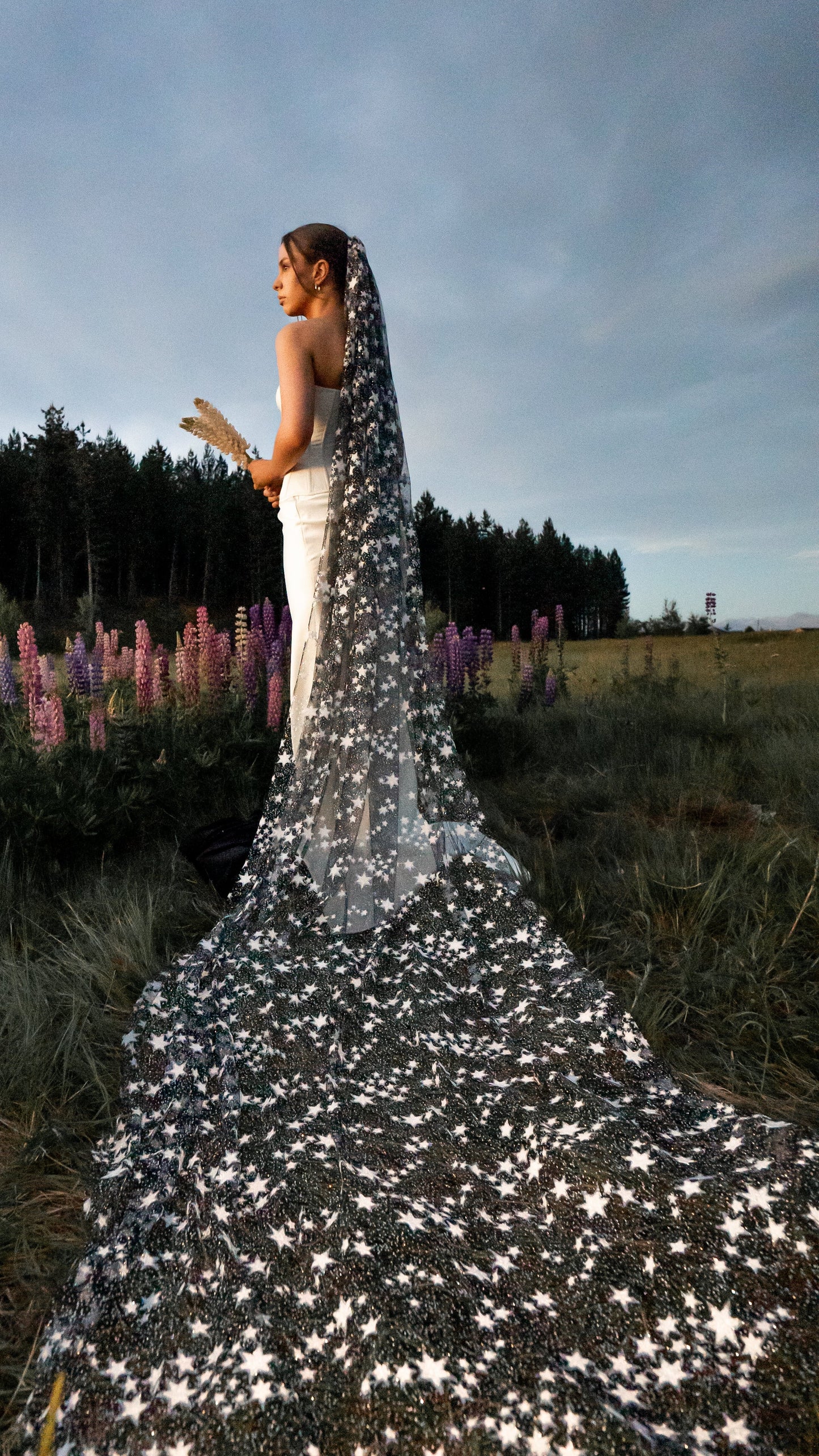 Celestial Starry Night Bridal Veil