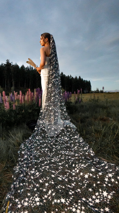 Celestial Starry Night Bridal Veil