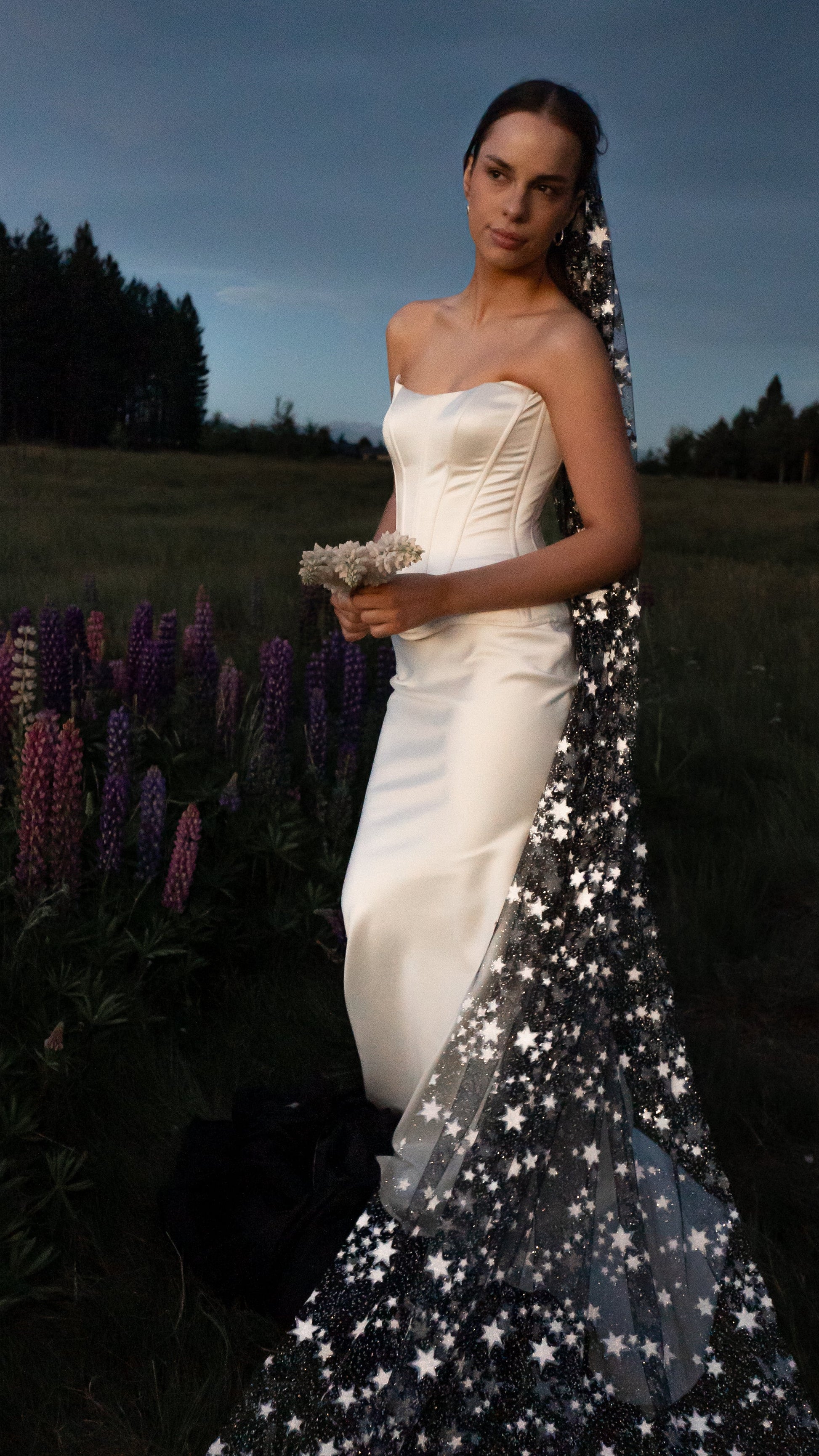 Celestial Starry Night Bridal Veil