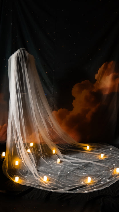 white wedding veil with zodiac signs embroidered with stars 