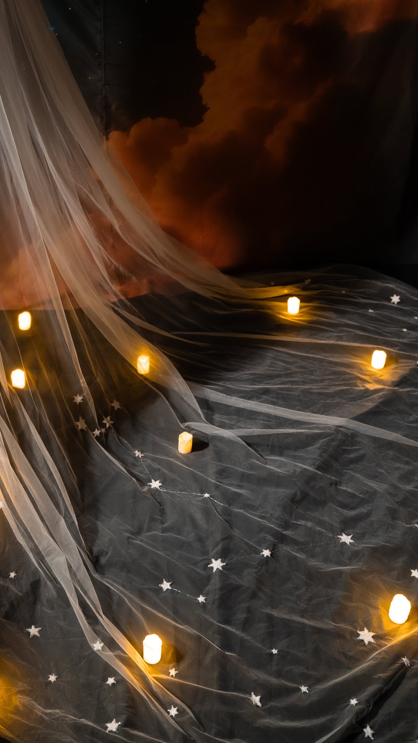 Zodiac Veil